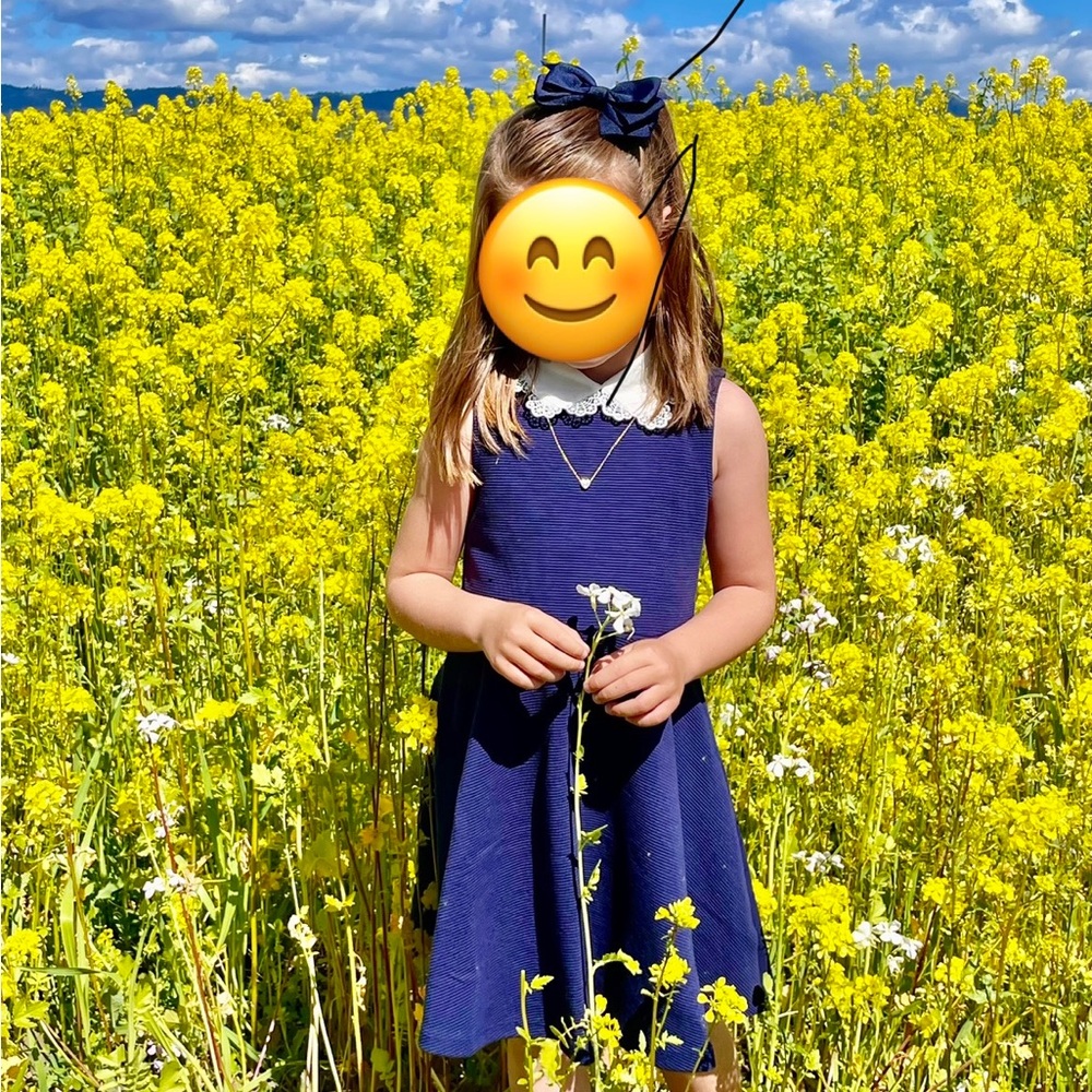 Navy blue Janie and Jack dress